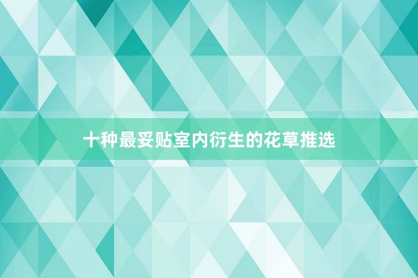 十种最妥贴室内衍生的花草推选